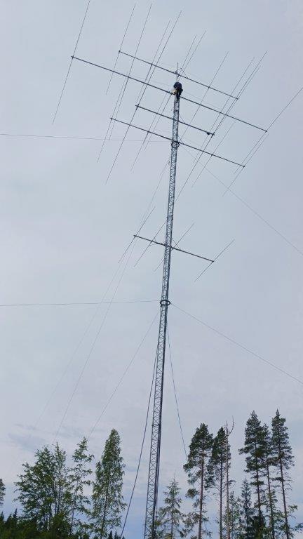 20250703_103707.jpg